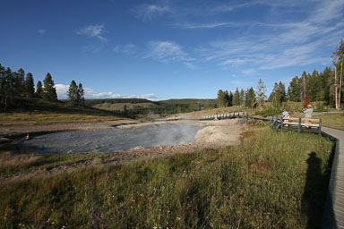 2011